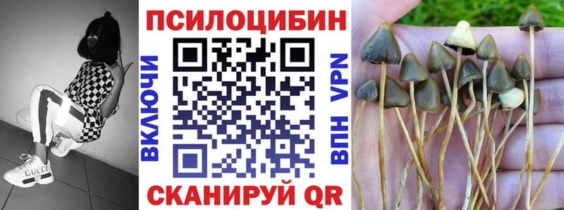 мориарти как зайти  Урай  Псилоцибиновые грибы Psilocybe 